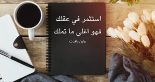 استثمر في عقلك. فهو أغلى ما تملك